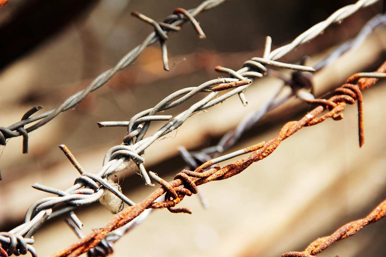 Making DIY Wire Crafts for Your Home